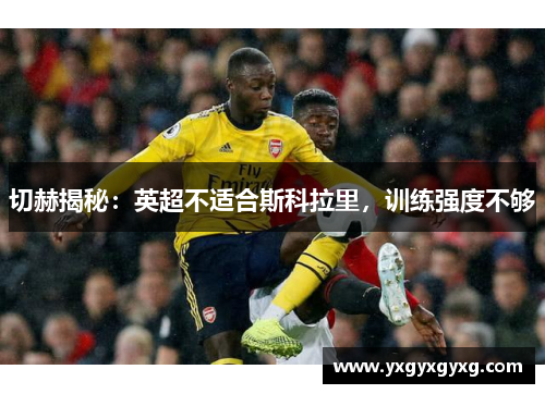 切赫揭秘：英超不适合斯科拉里，训练强度不够